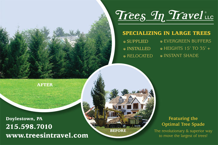 Trees In Travel